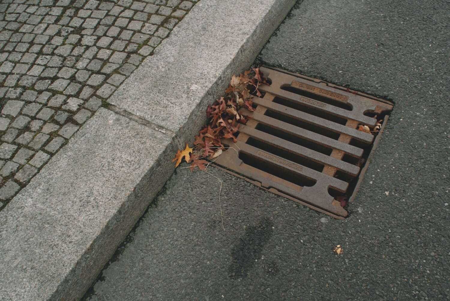 Dropped Keys Down Drain